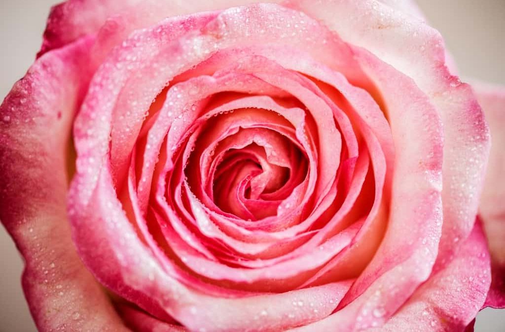Retail scent marketing: signature fragrance in a fitting room, by Scent Swirl